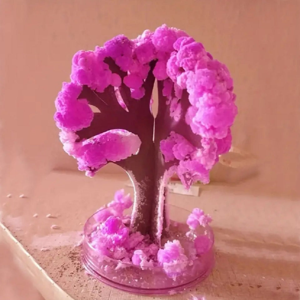 Arbre magique sakura