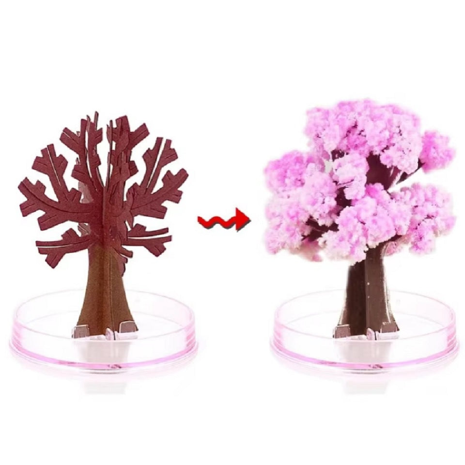 Arbre magique sakura