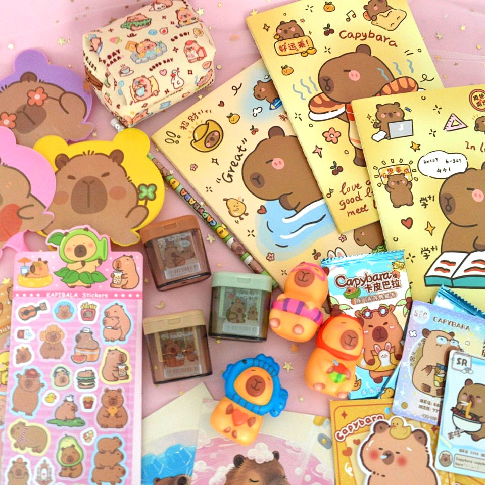 Box capybara (PROMO -23%)