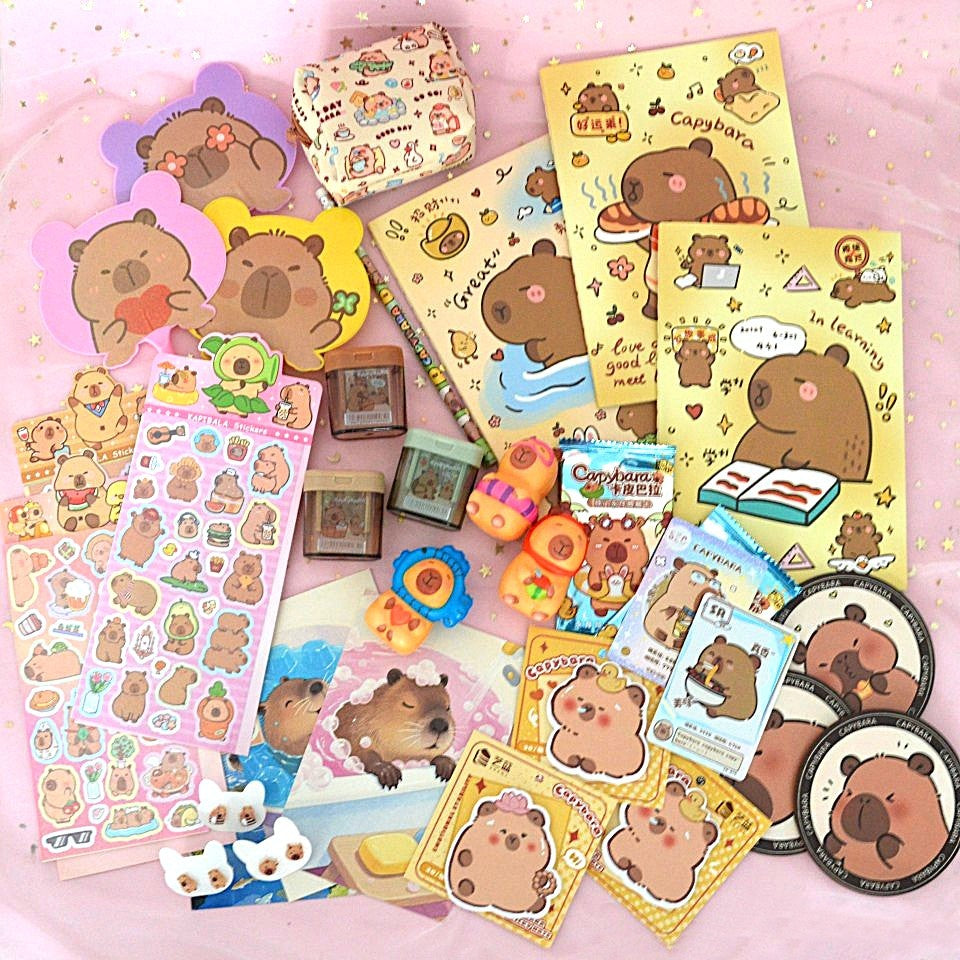 Box capybara (PROMO -23%)