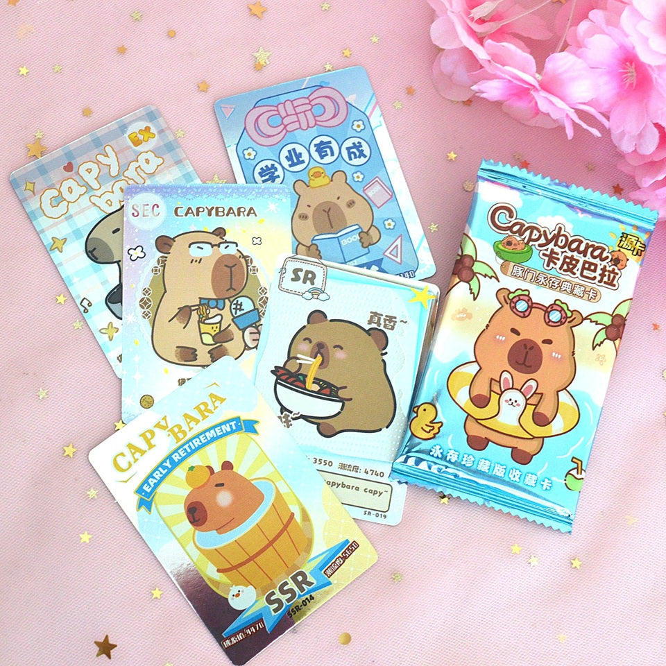 Box capybara (PROMO -23%)