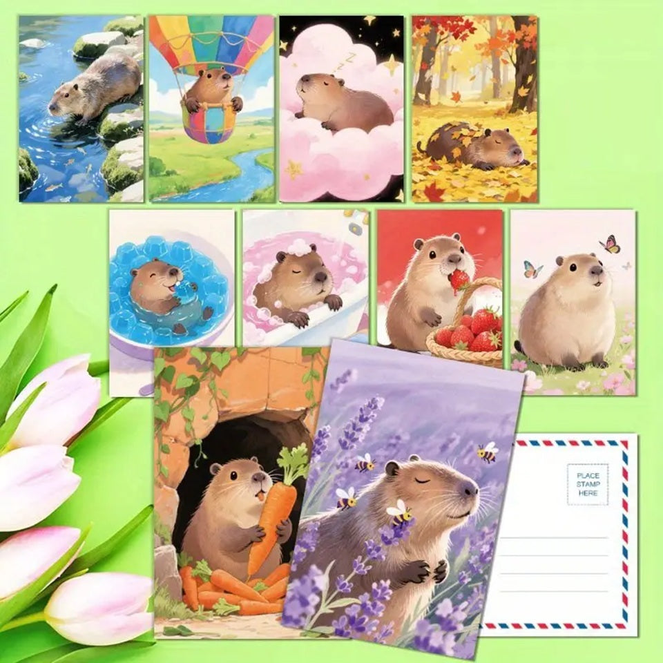 Box capybara (PROMO -23%)