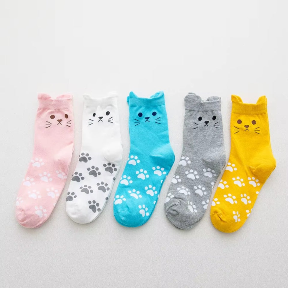 Box kawaii thème chat