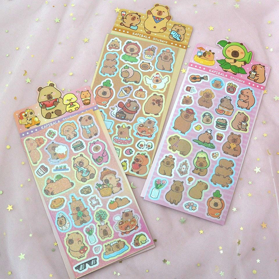 Box capybara (PROMO -23%)