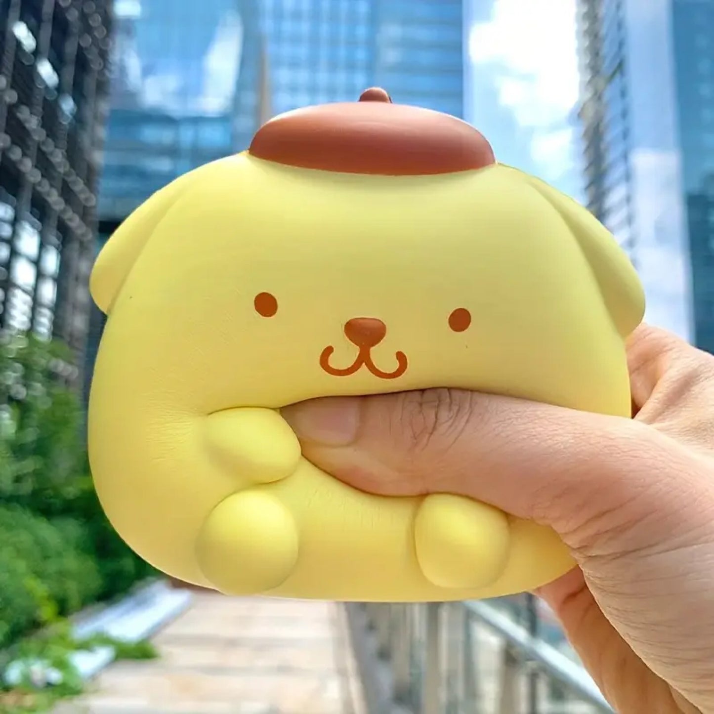 Squishy Pompompurin