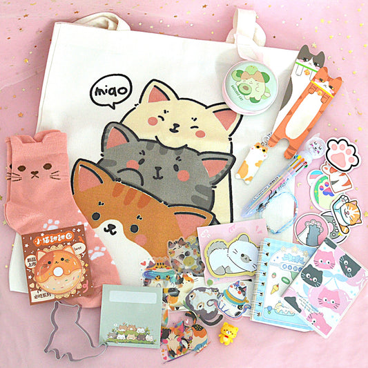 Box kawaii thème chat