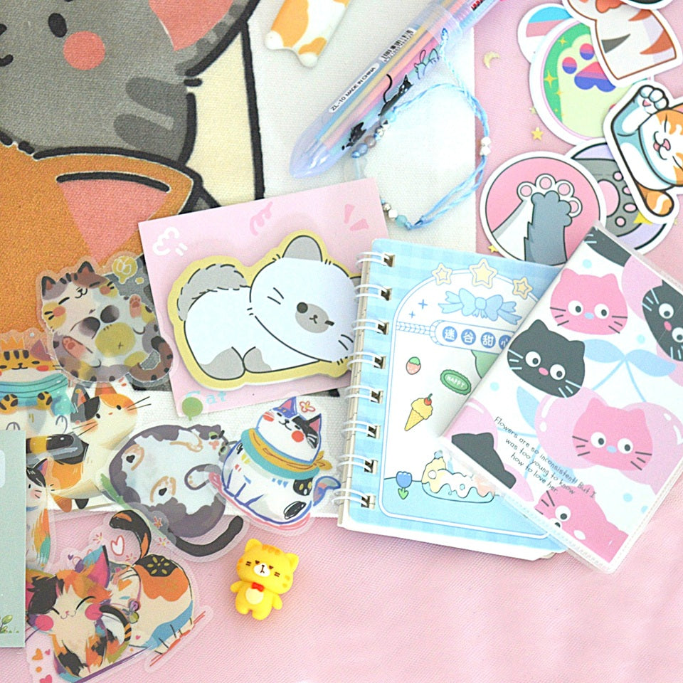 une box kawaii sur le thème chat : papeterie, bijoux, accessoires de mode, cuisine et déco. C'est une vraie mines de pépites pour égayer ta journée !
