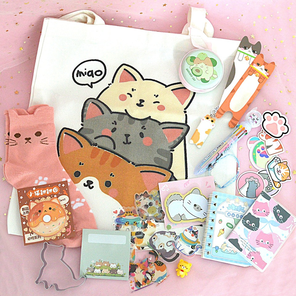 une box kawaii sur le thème chat : papeterie, bijoux, accessoires de mode, cuisine et déco. C'est une vraie mines de pépites pour égayer ta journée !