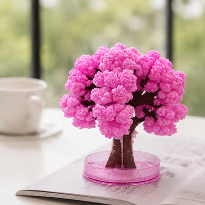 Arbre magique sakura (PROMO -14%)