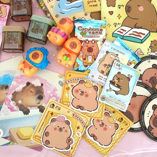 Box capybara (PROMO -23%)