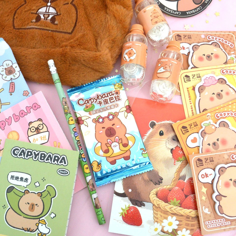 Box capybara (PROMO -26%)