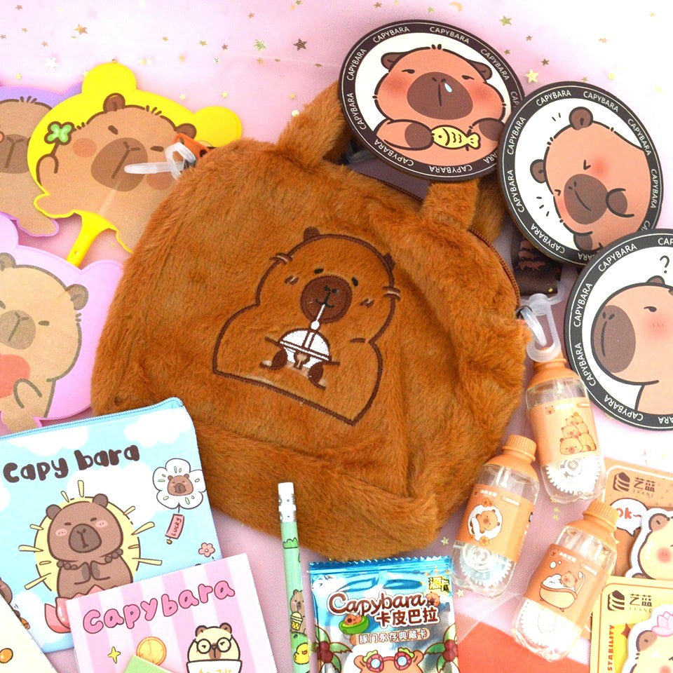 Box capybara (PROMO -26%)