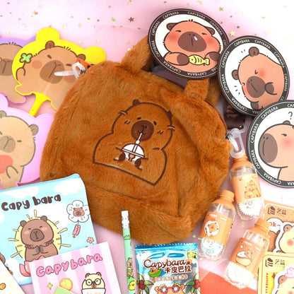 Box capybara (PROMO -26%)