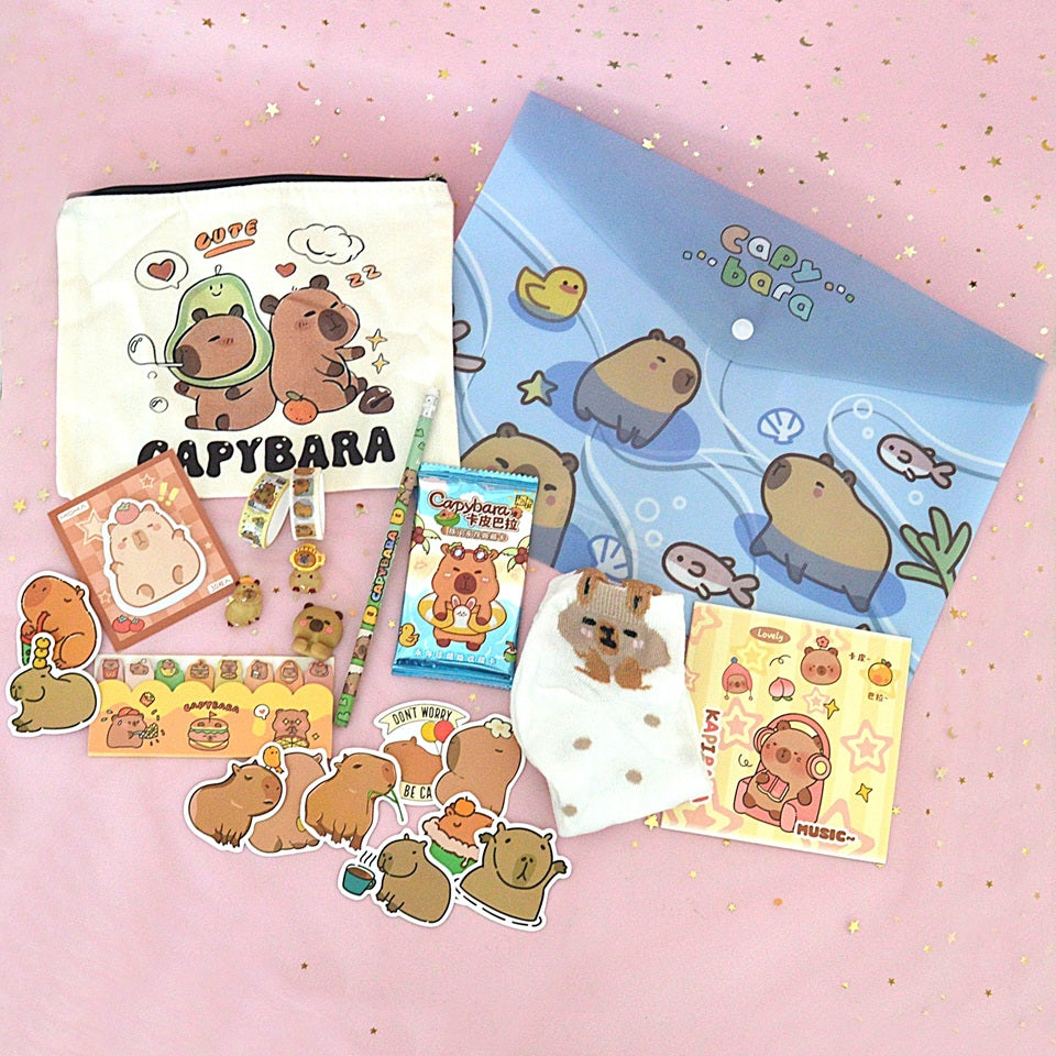 une box sur le thème capybara composée 'articles mignons, utiles et pratiques : papeterie kawaii, accessoires de mode, déco, c'est une vraie surprise 