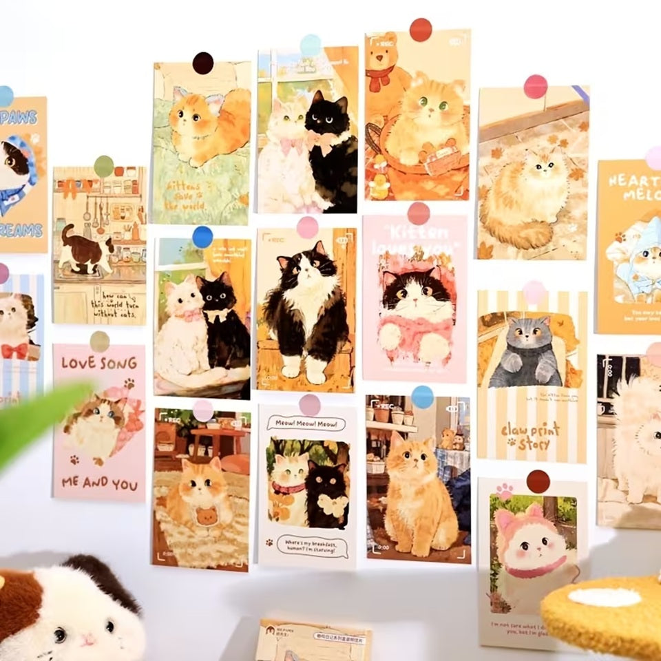 Box kawaii thème chat (PROMO -20%)