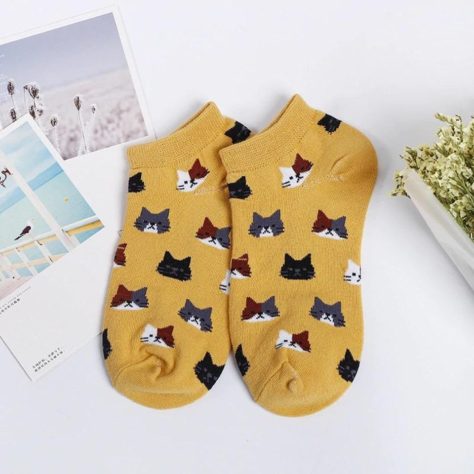 des chaussettes toutes douces et colorées : bleu, rose, blanc, beige et jaune moutarde au design de têtes de chat multicolores et trop mignons 