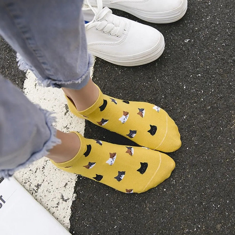 des chaussettes toutes douces et colorées : bleu, rose, blanc, beige et jaune moutarde au design de têtes de chat multicolores et trop mignons 
