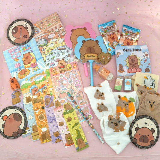 Box capybara (PROMO -24%)