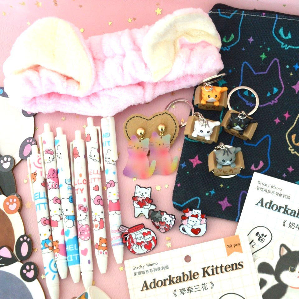 Box kawaii thème chat (PROMO -20%)