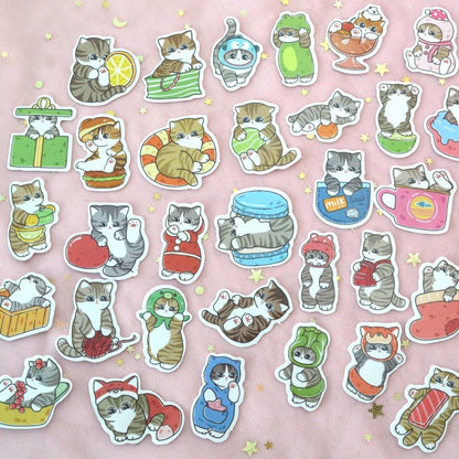 un lot de stickers de chats tigrés dans des poses et scènes cocasses et trop mignonnes.