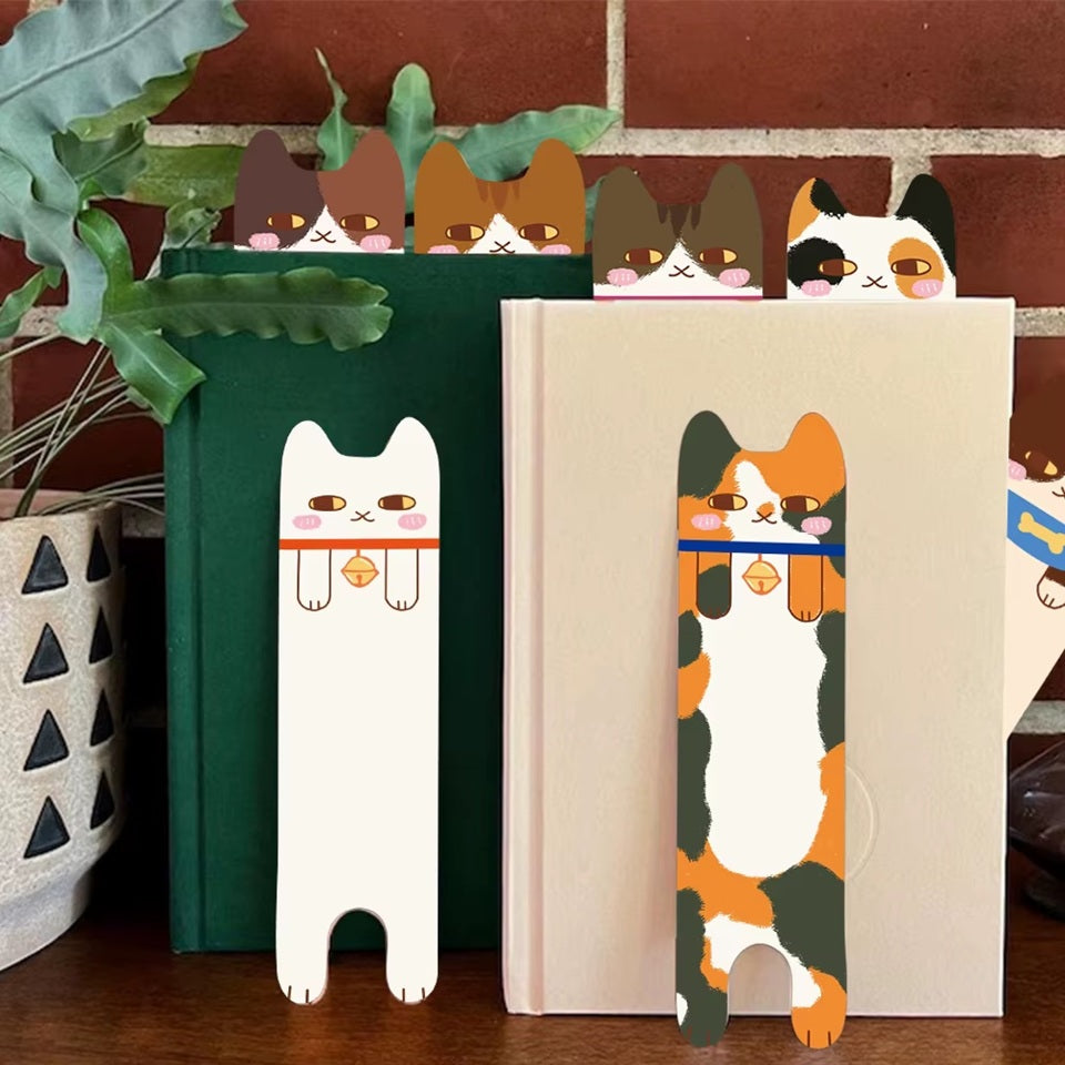 Box kawaii thème chat