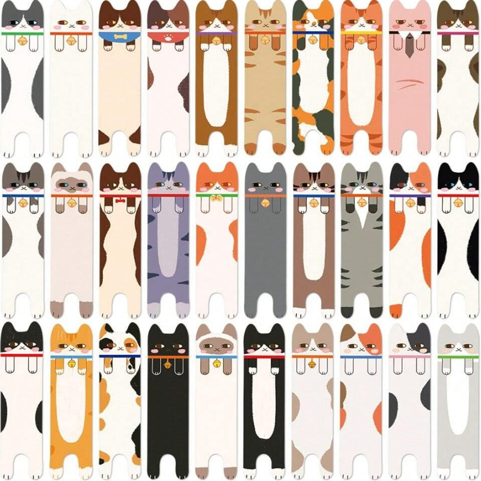 Box kawaii thème chat