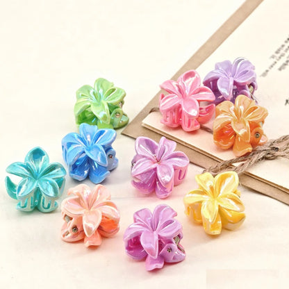 des petites pinces à cheveux en forme de fleurs exotiques colorées et brillantes.