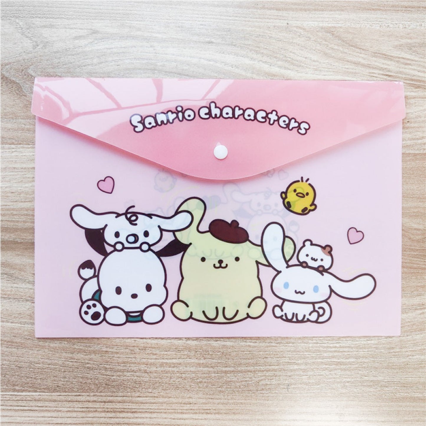 Pochette plastique Sanrio family