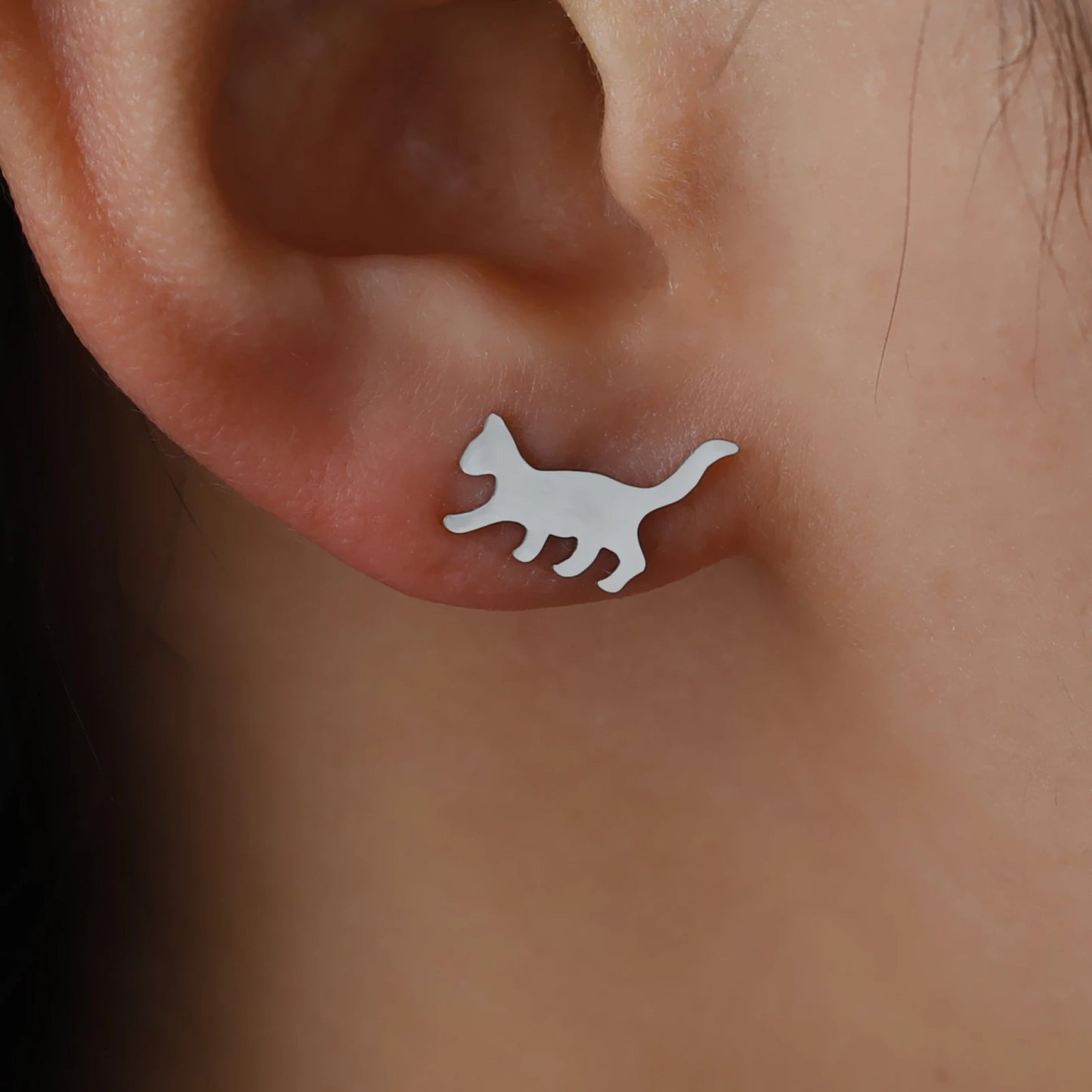 Puces d'oreilles asymétriques petits chats argentés