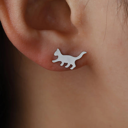 Puces d'oreilles asymétriques petits chats argentés