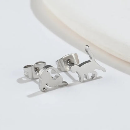 Puces d'oreilles asymétriques petits chats argentés