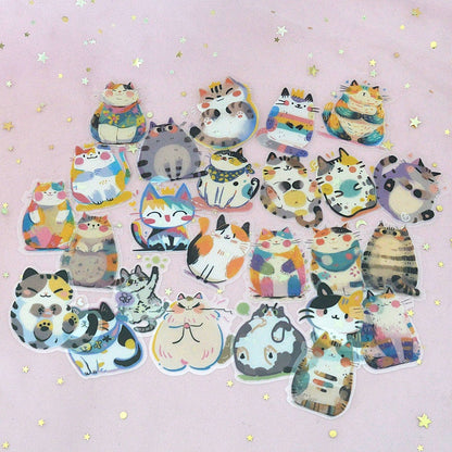 Box kawaii thème chat